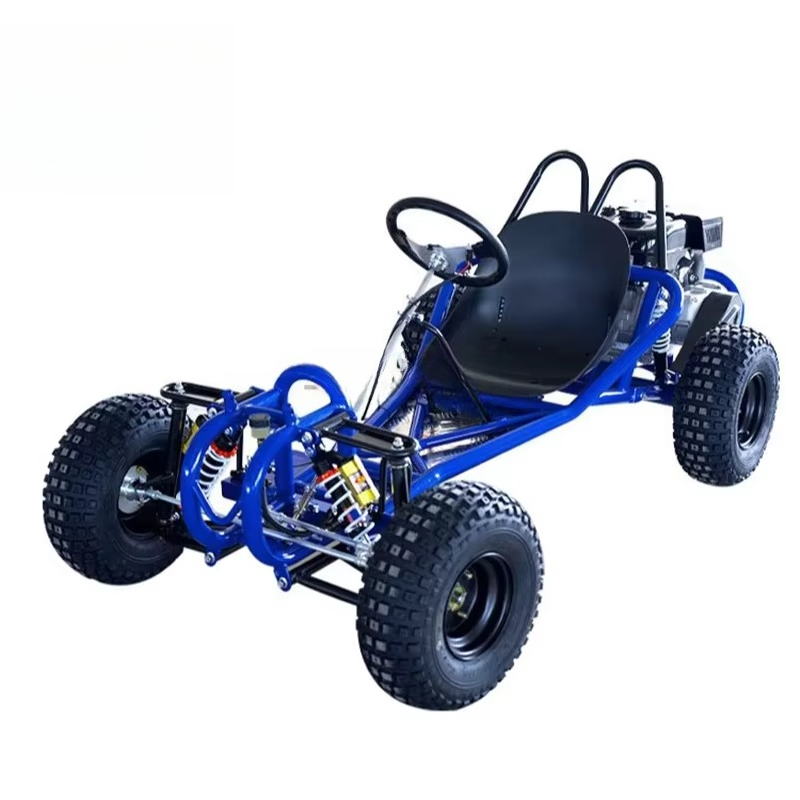 Cheap Price Sale Pedal Go Kart - Kids Outdoor Karting recensione e prezzo