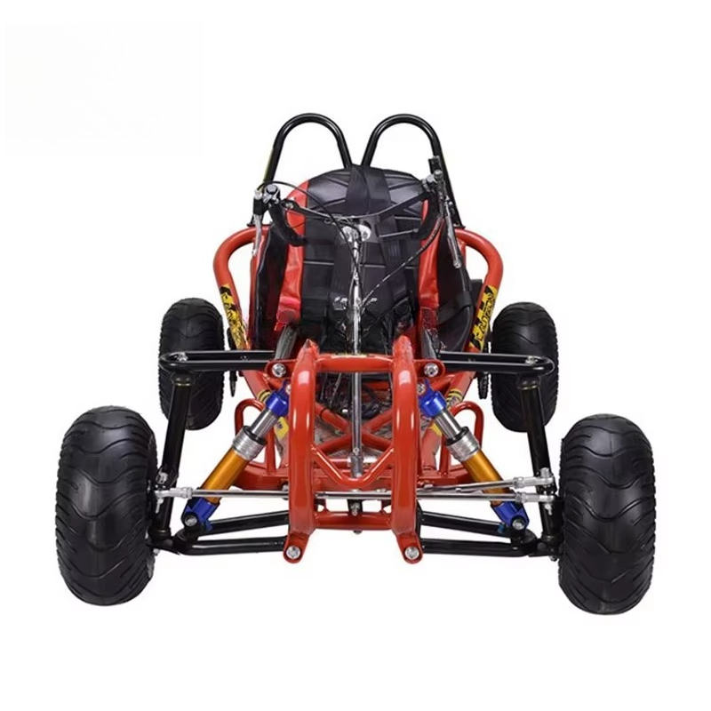 Cheap Price Sale Pedal Go Kart - Kids Outdoor Karting recensione e prezzo