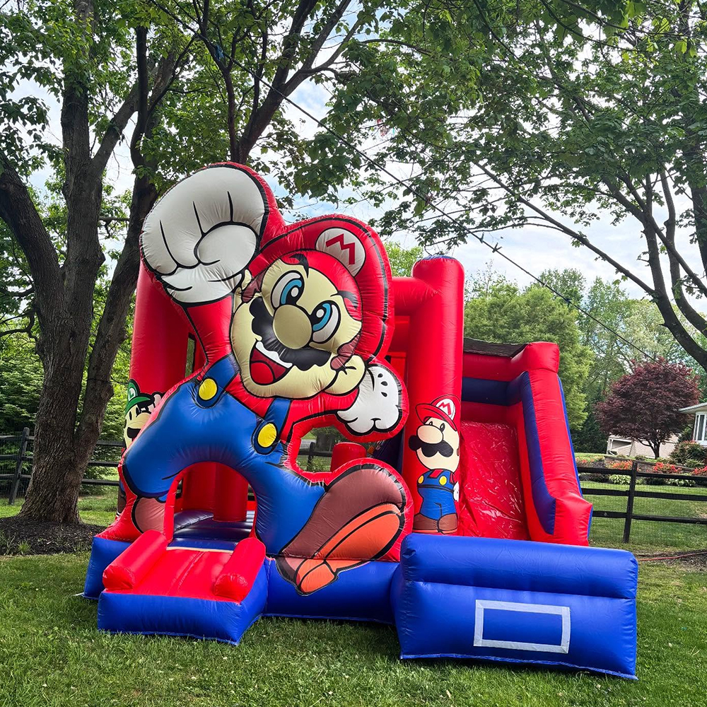 Custom Inflatable Bouncer Kids - Kids Outdoor Jumping Castle recensione e prezzo