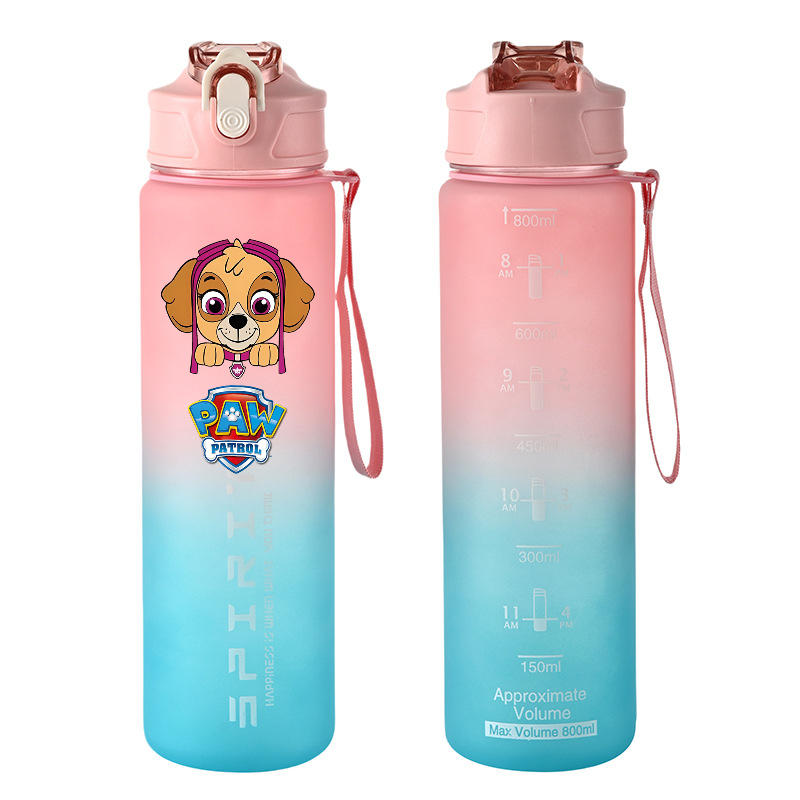 800ml PAW Patrol Sports Water  - Kids Outdoor Movies recensione e prezzo
