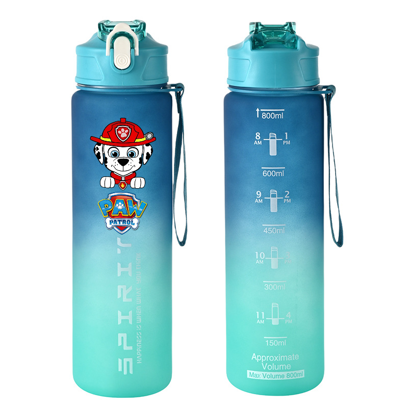 800ml PAW Patrol Sports Water  - Kids Outdoor Movies recensione e prezzo