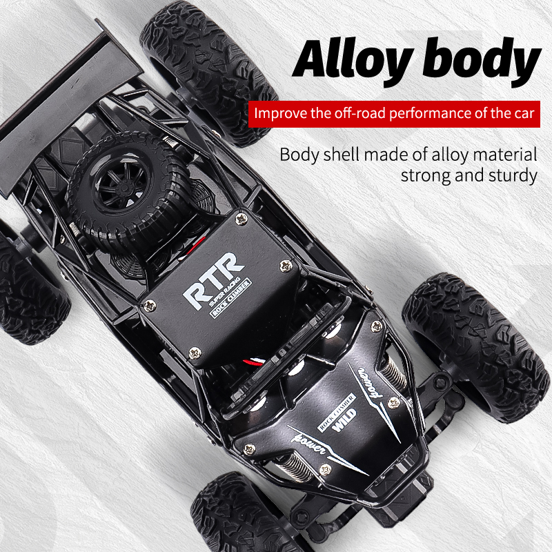 ZWN 1:16/1:20 Alloy RC Car Wit - Kids Outdoor Climbing Structure recensione e prezzo
